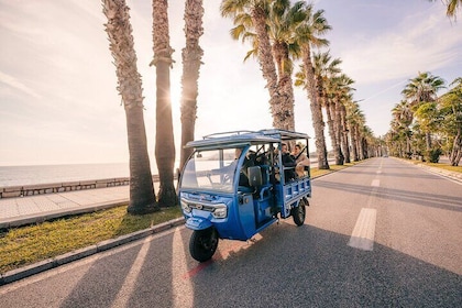 Malaga by Tuk Tuk i : 1 or 2 hours Private city tour