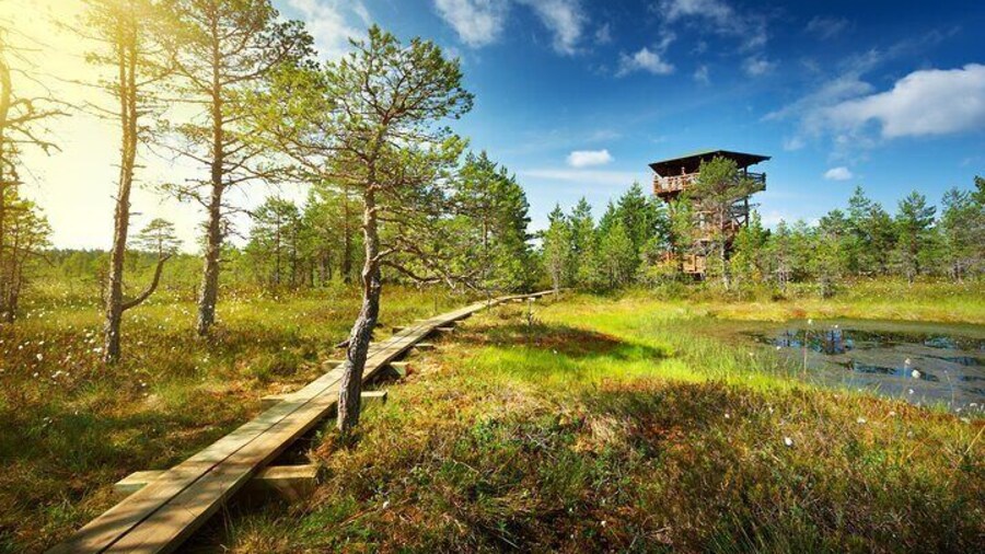 Private Day Tour to Lahemaa National Park from Tallinn