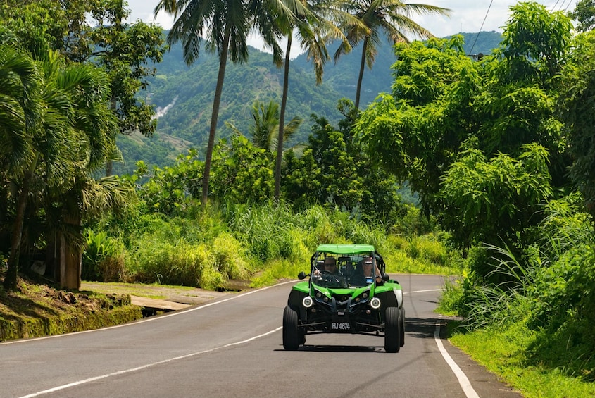 Soufriere Buggy Safari