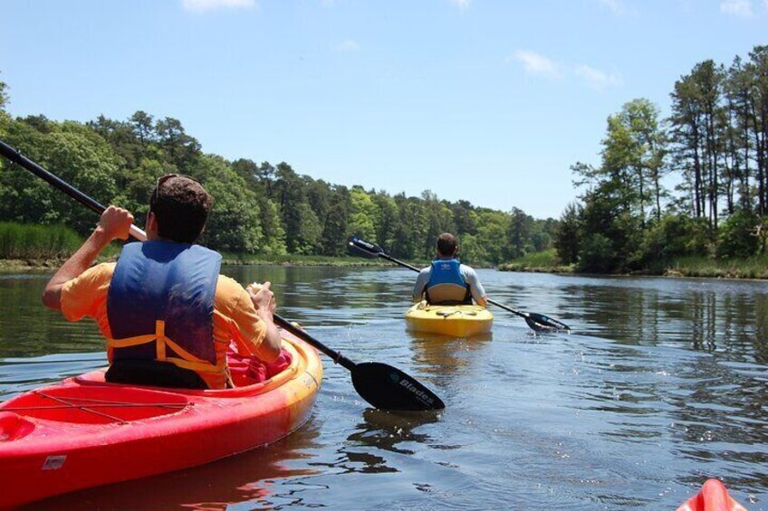 Cape Cod Kayak Rentals in Popponesset Bay Mashpee