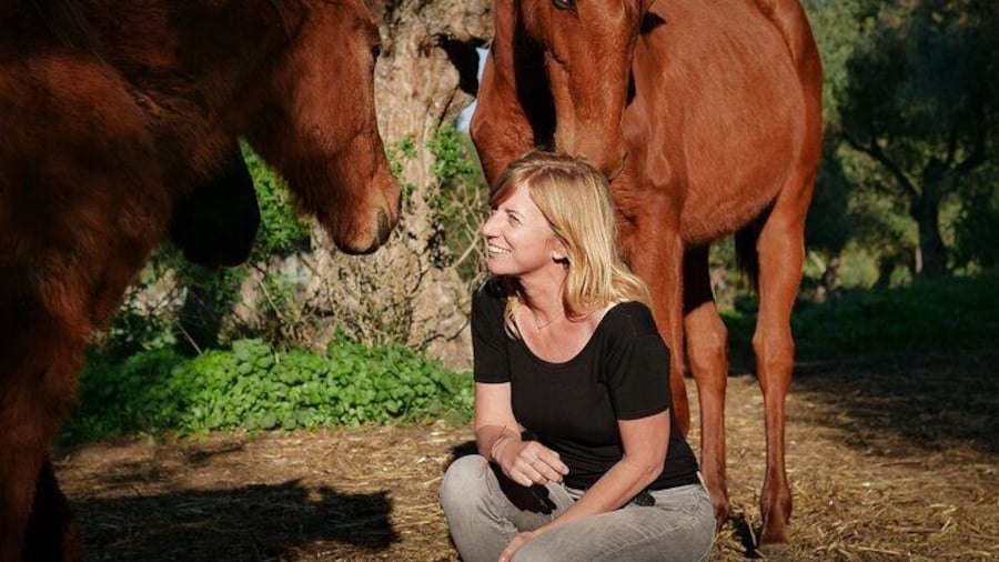 Meditation Activity: Mindfulness with Horses in Zahora