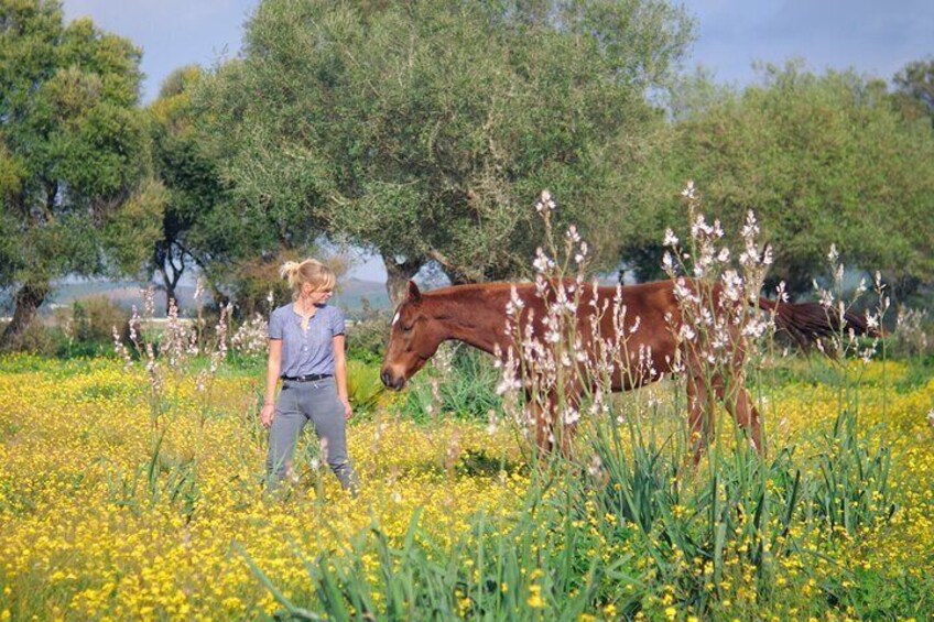 Meditation Activity: Mindfulness with Horses in Zahora