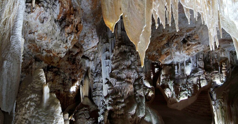 Picture 1 for Activity Mallorca: Campanet Caves Entry Ticket
