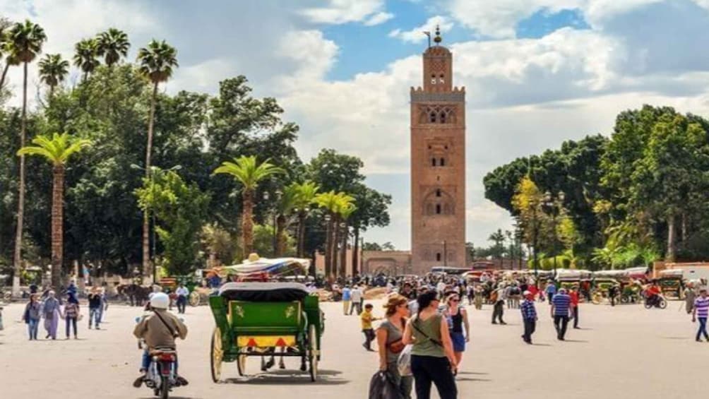 Picture 7 for Activity From Casablanca: Day Trip to Marrakech with Camel Ride