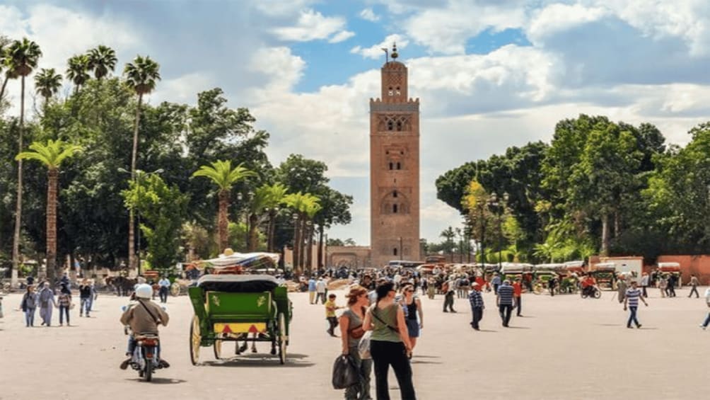 Picture 6 for Activity From Casablanca: Day Trip to Marrakech with Camel Ride