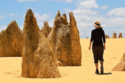 Full-Day Perth to Pinnacles Guided Tour