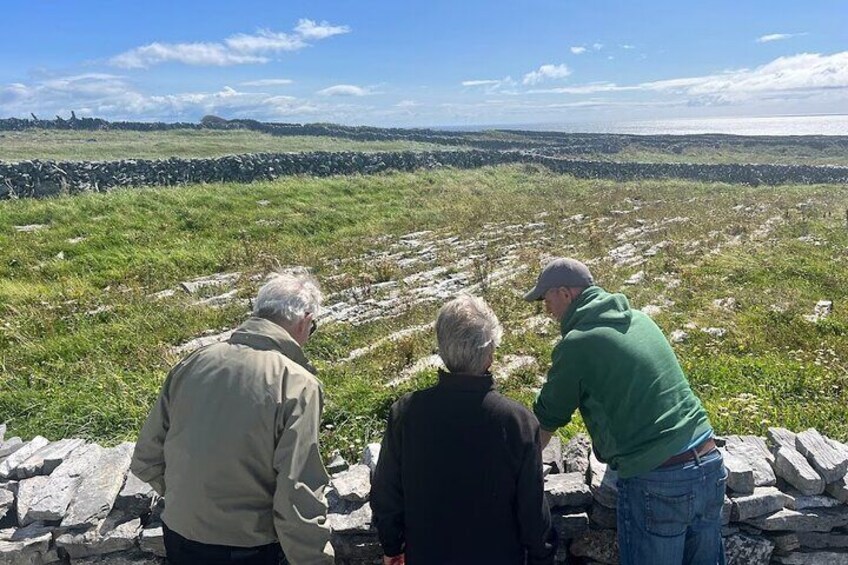 Explaining the stone walls