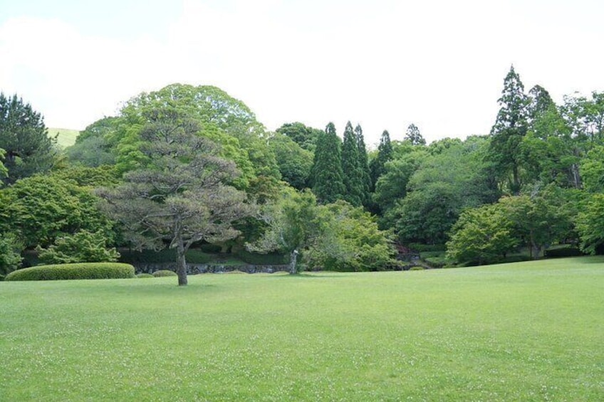 Nara Early Bird Tour with English Speaking Guide
