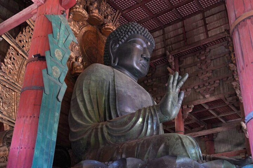 Nara Early Bird Tour (Kyoto Departure Option Available)