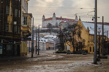 Guided City and Castle Tour from Bratislava