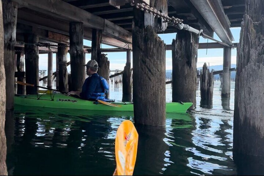 Small Group Flathead Lake Somers Bay Tour