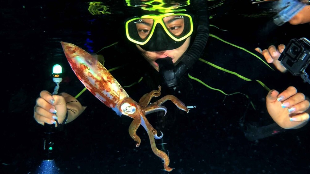 Cozumel: Night Snorkel Adventure