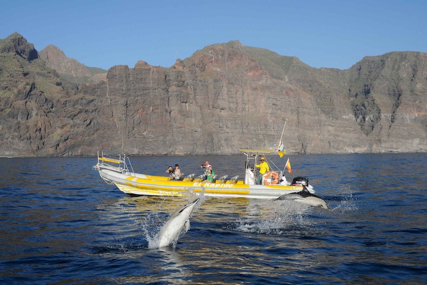 Picture 3 for Activity Los Gigantes: Dolphin and Whale-Watching Speedboat Tour