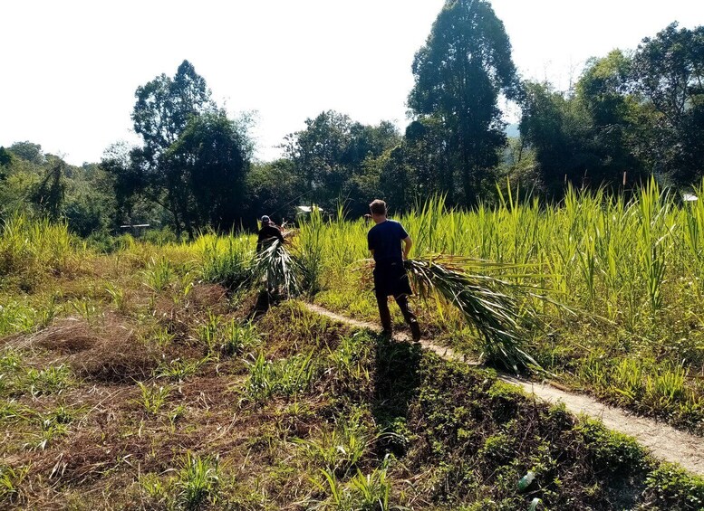 Picture 9 for Activity 2 Days 1 Night: Eco Trekking to the White Pakayaw Village