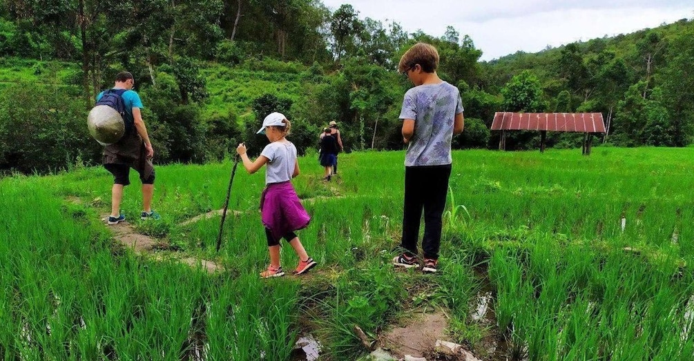 Picture 1 for Activity 2 Days 1 Night: Eco Trekking to the White Pakayaw Village