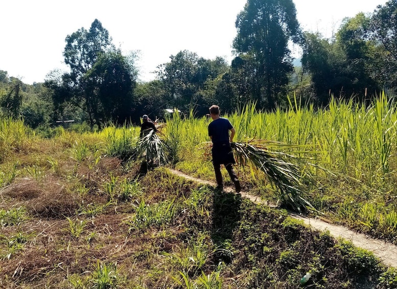 Picture 9 for Activity 2 Days 1 Night: Eco Trekking to the White Pakayaw Village