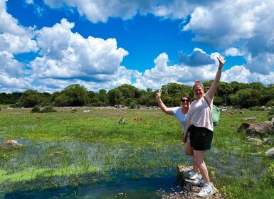 Tour Nature & Wildlife from Cagliari