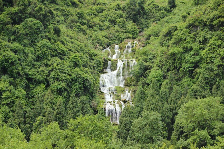 Picture 5 for Activity A Day in Munnar: Nature, Culture, and Local Flavor