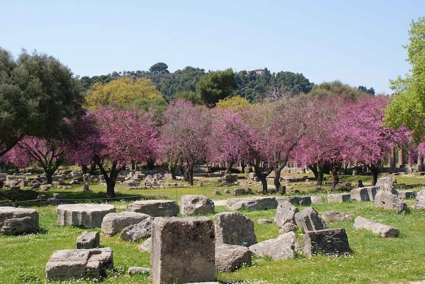 Picture 3 for Activity Small Group Tour of Ancient Olympia and Local Food Tasting
