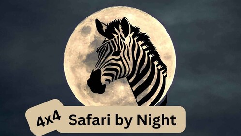 Victorian putoukset: Vic Fallsin ympärillä 4x4:llä yöllä safari