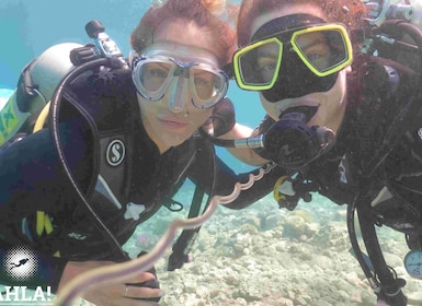 Eliat: Intro Scuba Diving with Instructor