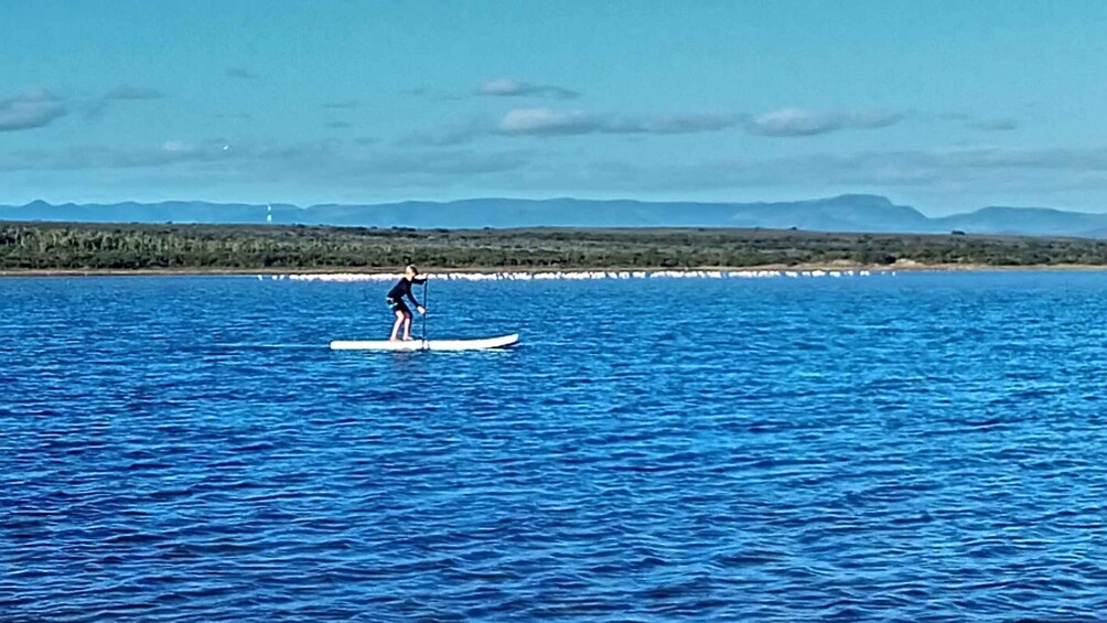 Picture 1 for Activity Jeffreys Bay: Stand Up Paddle Boarding