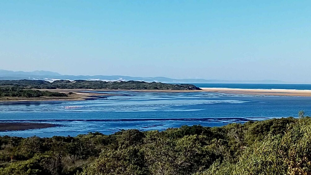 Picture 2 for Activity Jeffreys Bay: Stand Up Paddle Boarding