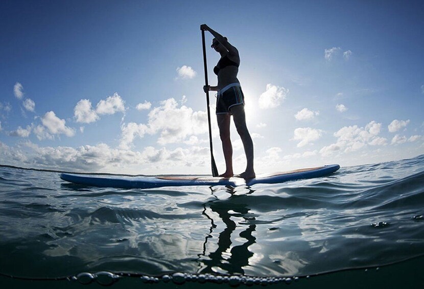 Jeffreys Bay: Stand Up Paddle Boarding