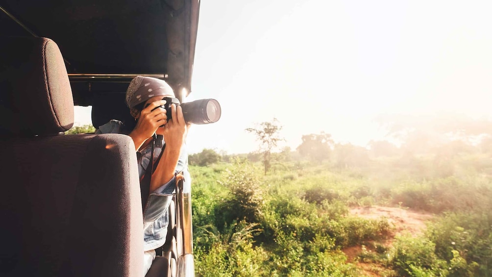 Picture 3 for Activity 1-Day Tour of Both Yala and Udawalawe National Parks