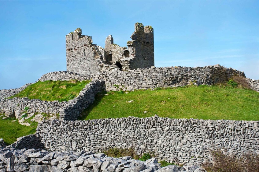 Picture 2 for Activity Galway: Day Trip Ferry to Inis Oírr (Aran Islands)