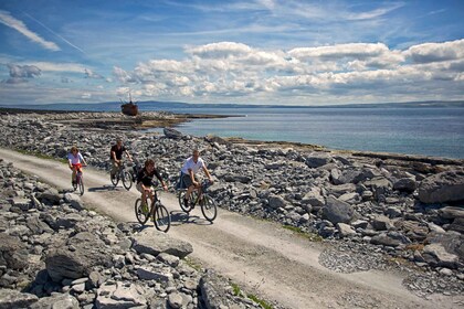 Galway : Ferry d’excursion d’une journée à Inis Oírr (îles d’Aran)