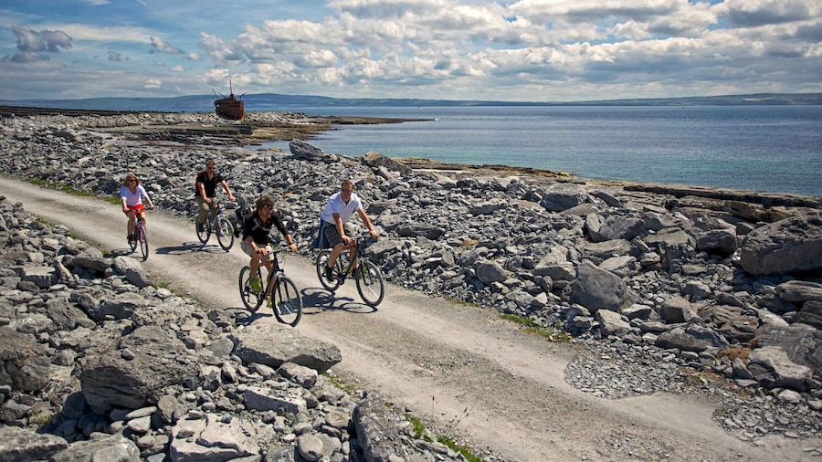 Galway: Day Trip Ferry to Inis Oírr