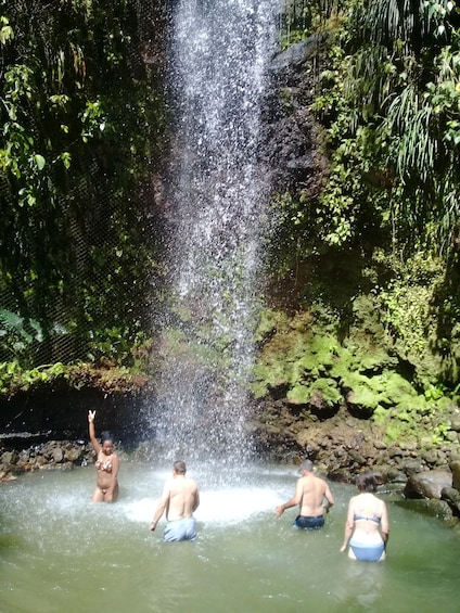 Picture 14 for Activity Gros Piton Hiking Tour and Sulphur Spring Bath
