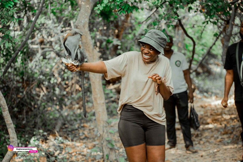 Wli Waterfall And Tafi Monkey Sanctuary ( Volta Region)