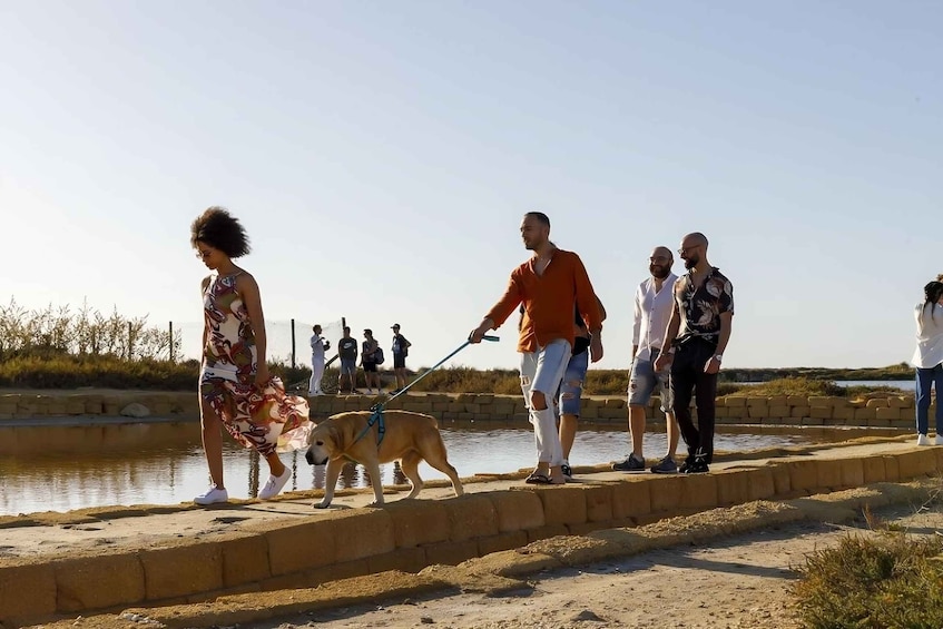 Picture 4 for Activity Trapani: Tour delle Saline di Trapani e Paceco + Museo
