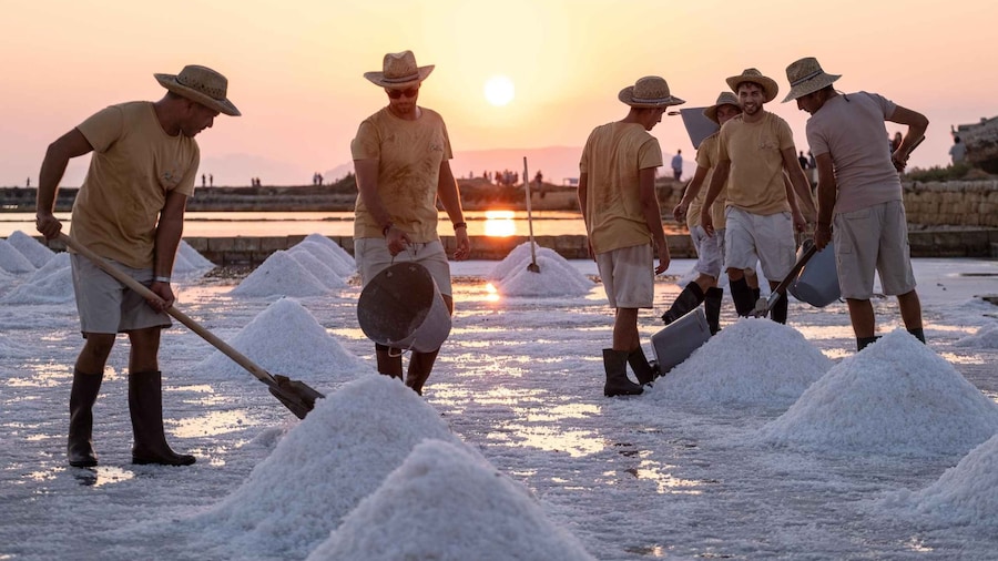 Trapani: Tour delle Saline di Trapani e Paceco + Museo
