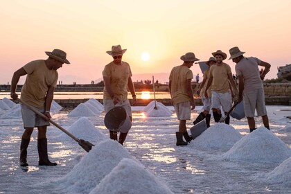 Guided tour of the Trapani Salt Pans and Salt Museum