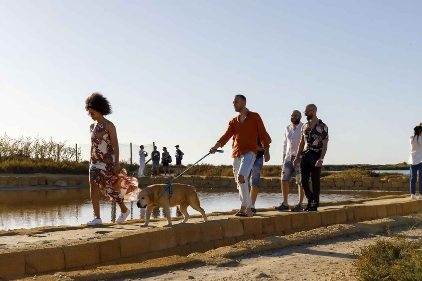 Picture 4 for Activity Trapani: Tour delle Saline di Trapani e Paceco + Museo