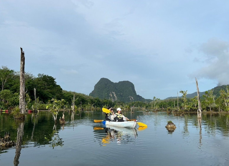 Picture 5 for Activity Krabi: Kayaking at Klong Nam Sai, Elephant Bathing & Feeding