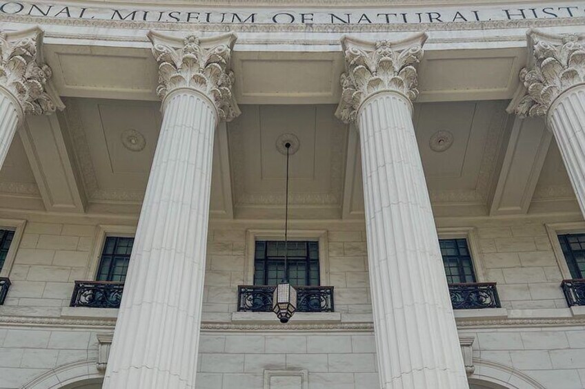 "Discover the wonders of nature at the National Museum of Natural History in Manila. ️ #ExploreHistory #ManilaMuseum #NatureWonders"