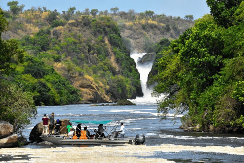 Picture 2 for Activity Murchison Falls National Park: 3-Day Safari with Boat Cruise