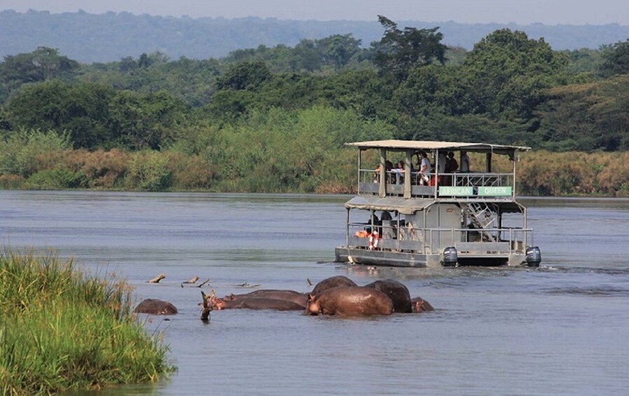 Picture 5 for Activity Murchison Falls National Park: 3-Day Safari with Boat Cruise