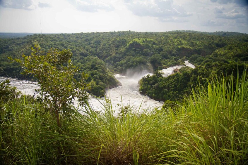 Picture 10 for Activity Murchison Falls National Park: 3-Day Safari with Boat Cruise