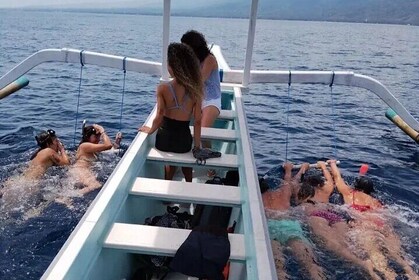 Watching dolphins swimming and snorkelling in Lovina Bali