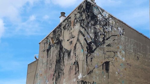 Salamanca: Private Guided Street Art Walking Tour