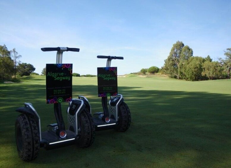 Picture 10 for Activity Faro: Ria Formosa Natural Park Segway Tour & Birdwatching