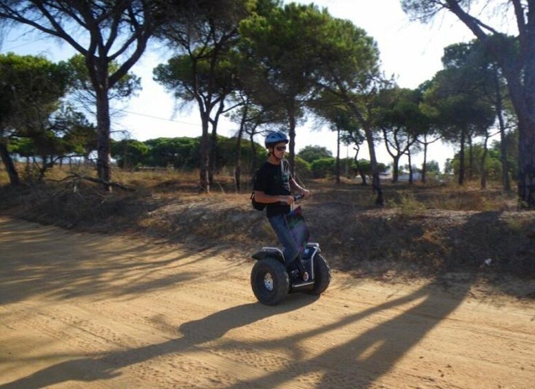 Picture 8 for Activity Faro: Ria Formosa Natural Park Segway Tour & Birdwatching