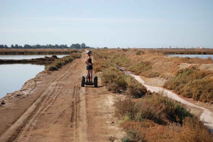 Picture 3 for Activity Faro: Ria Formosa Natural Park Segway Tour & Birdwatching