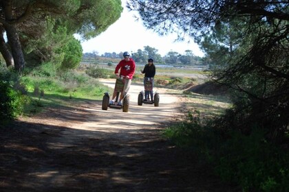 Faro: Tur Segway Taman Alam Ria Formosa & Mengamati Burung