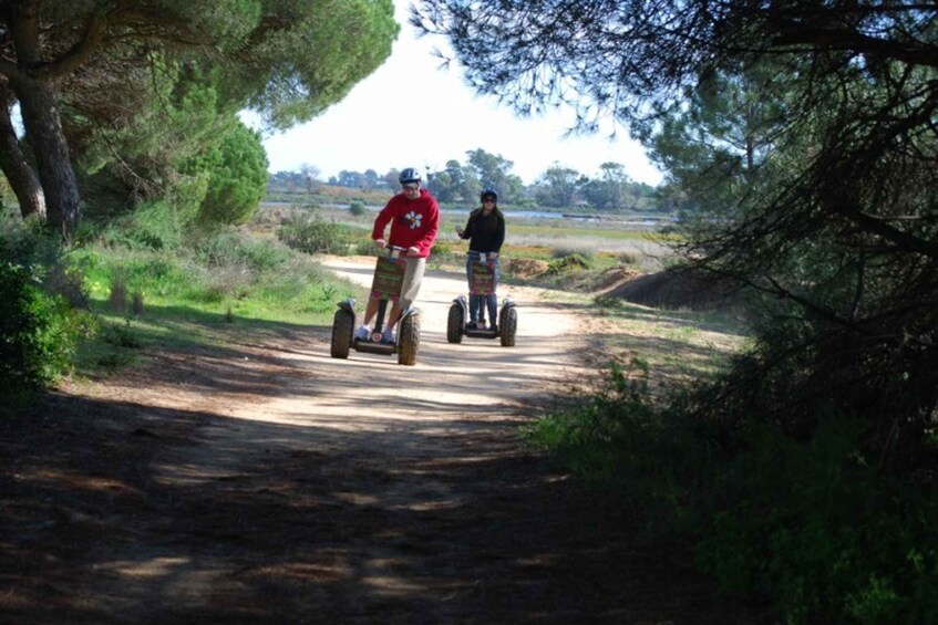 Faro: Ria Formosa Natural Park Segway Tour & Birdwatching